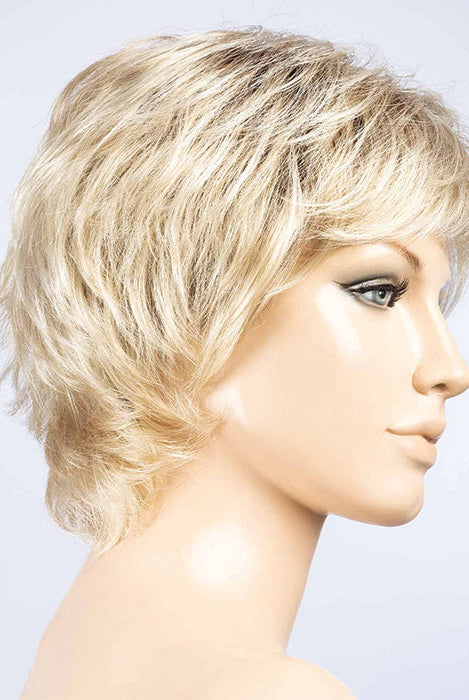 CHAMPAGNE SHADED 23.22.16